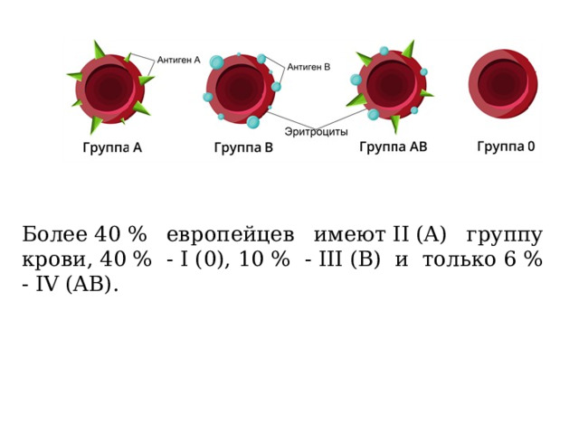 Более 40 % европейцев имеют II (A) группу крови, 40 % - I (0), 10 % - III (B) и только 6 % - IV (AB). 