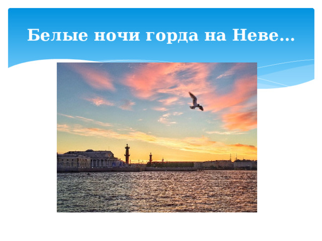 Белые ночи горда на Неве… 