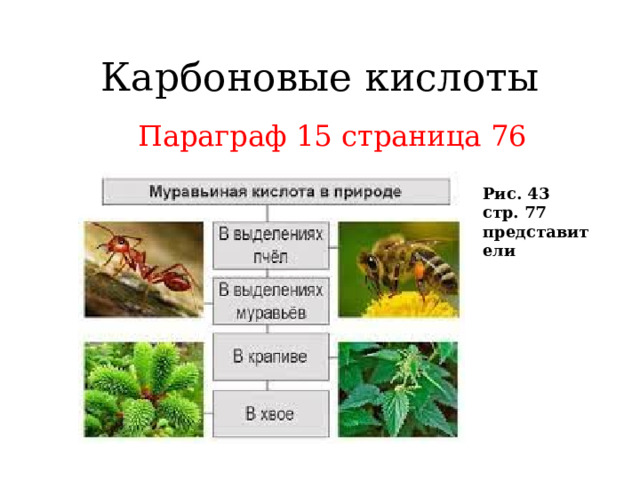 Карбоновые кислоты Параграф 15 страница 76 Рис. 43 стр. 77 представители 