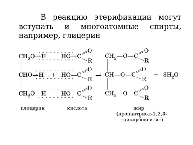  В реакцию этерификации могут вступать и многоатомные спирты, например, глицерин 
