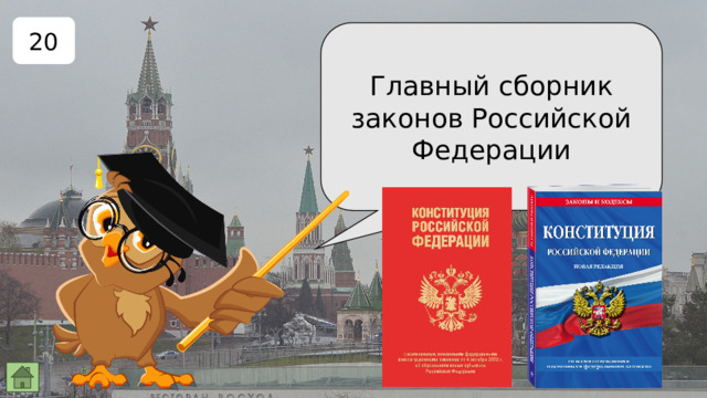 20 Главный сборник законов Российской Федерации 