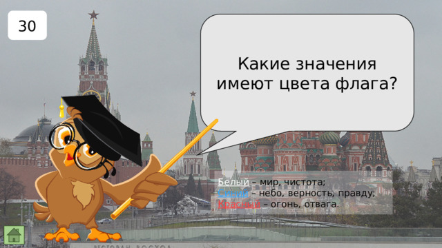 30 Какие значения имеют цвета флага? Белый  – мир, чистота; Синий  – небо, верность, правду; Красный  – огонь, отвага. 