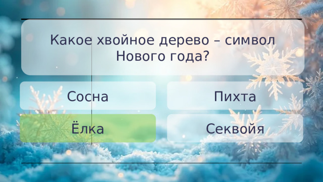 Какое хвойное дерево – символ Нового года? Сосна Пихта Ёлка Секвойя 