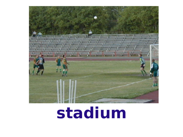 stadium 