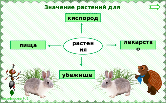 Значение растений для животных. кислород растения лекарство пища убежище 