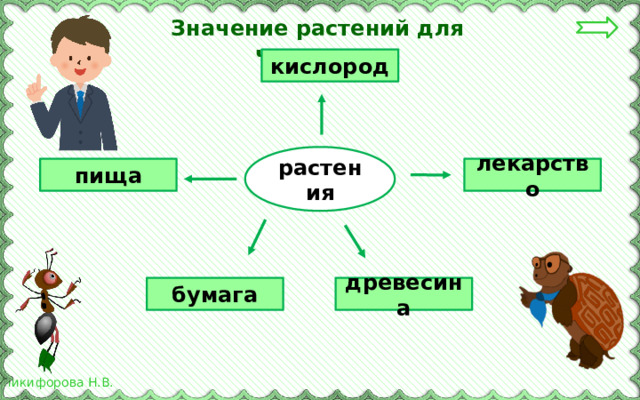 Значение растений для человека. кислород растения лекарство пища древесина бумага 