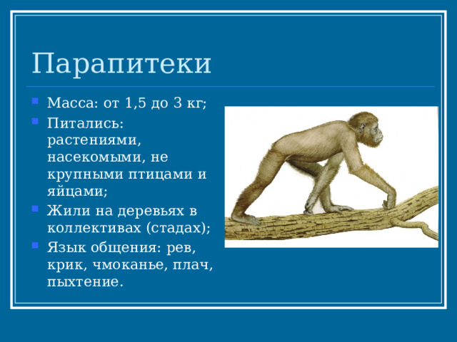 Парапитеки Масса: от 1,5 до 3 кг; Питались: растениями, насекомыми, не крупными птицами и яйцами; Жили на деревьях в коллективах (стадах); Язык общения: рев, крик, чмоканье, плач, пыхтение. 