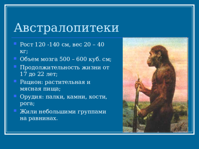 Австралопитеки Рост 120 -140 см, вес 20 – 40 кг; Объем мозга 500 – 600 куб. см; Продолжительность жизни от 17 до 22 лет; Рацион: растительная и мясная пища; Орудия: палки, камни, кости, рога; Жили небольшими группами на равнинах. 