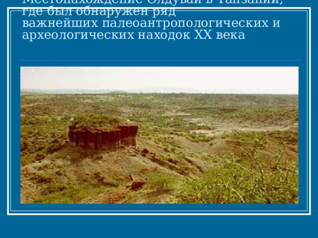 Местонахождение Олдувай в Танзании, где был обнаружен ряд  важнейших палеоантропологических и археологических находок XX века   
