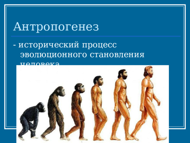 Антропогенез - исторический процесс эволюционного становления человека. 