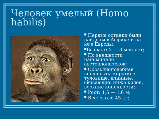 Человек умелый ( Homo habilis)  Первые останки были найдены в Африке и на юге Европы; Возраст: 2 — 3 млн.лет;  По внешности напоминали австралопитеков;  Обезьяноподобная внешность: короткое туловище, длинные, свисающие ниже колен, верхние конечности;  Рост: 1,5 — 1,6 м;  Вес: около 45 кг; 
