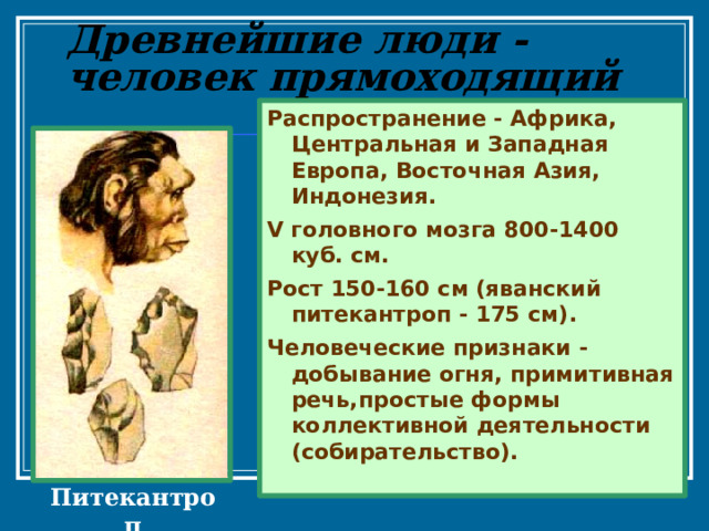 Древнейшие люди -  человек прямоходящий Распространение - Африка, Центральная и Западная Европа, Восточная Азия, Индонезия . V головного мозга 800-1400 куб. см . Рост 150-160 см (яванский питекантроп - 175 см) . Человеческие признаки - добывание огня, примитивная речь,простые формы коллективной деятельности (собирательство) .  Питекантроп 