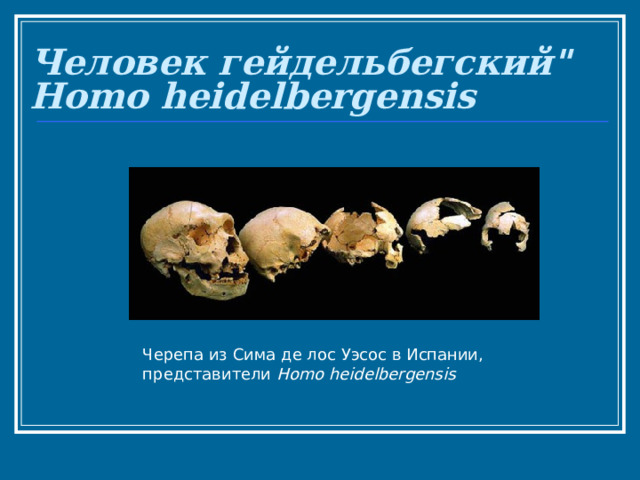 Человек гейдельбегский