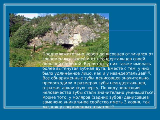 Предположительно череп денисовцев отличался от современных людей и от неандертальцев своей большей шириной. Вероятно, у них также имелась более вытянутая зубная дуга. Вместе с тем, у них было удлинённое лицо, как и у неандертальцев [12] . Все обнаруженные зубы денисовцев значительно превосходили в размерах зубы неандертальцев, отражая архаичную черту. По ходу эволюции человечества зубы стали значительно уменьшаться. Кроме того, у моляров (задних зубов) денисовцев замечено уникальное свойство иметь 3 корня, так же, как у современных азиатов [13] . 