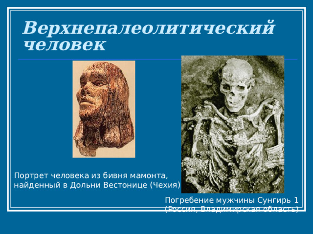 Верхнепалеолитический человек  Портрет человека из бивня мамонта, найденный в Дольни Вестонице (Чехия) Погребение мужчины Сунгирь 1 (Россия, Владимирская область) 