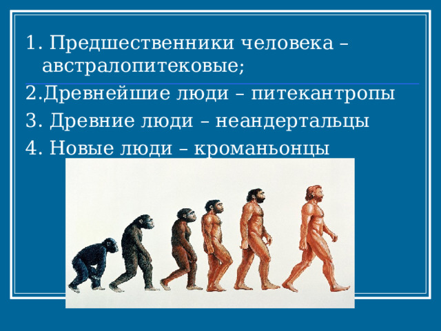 1. Предшественники человека – австралопитековые; 2.Древнейшие люди – питекантропы 3. Древние люди – неандертальцы 4. Новые люди – кроманьонцы 