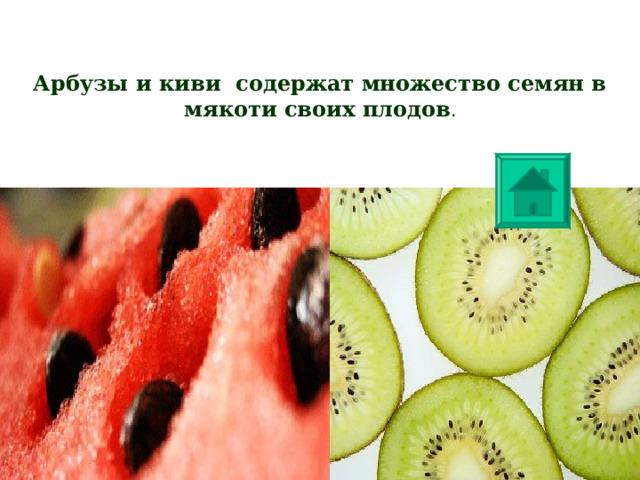 Арбузы и киви содержат множество семян в мякоти своих плодов . 