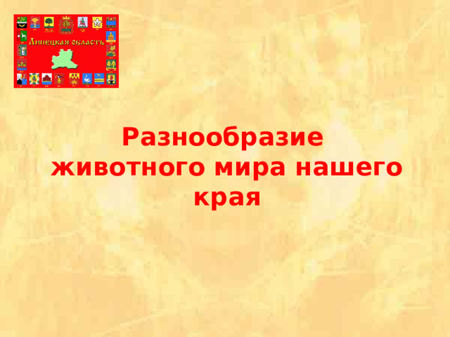    Разнообразие животного мира нашего края  
