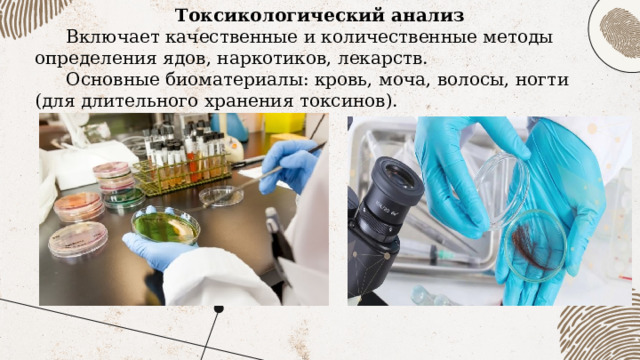Токсикологический анализ Включает качественные и количественные методы определения ядов, наркотиков, лекарств. Основные биоматериалы: кровь, моча, волосы, ногти (для длительного хранения токсинов). 