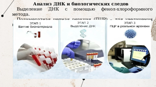 Анализ ДНК и биологических следов Выделение ДНК с помощью фенол-хлороформного метода. Полимеразная цепная реакция (ПЦР) – для увеличения количества ДНК. 