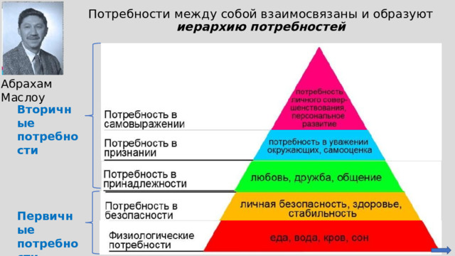 Потребности между собой взаимосвязаны и образуют  иерархию потребностей Абрахам Маслоу Вторичные потребности Первичные потребности 