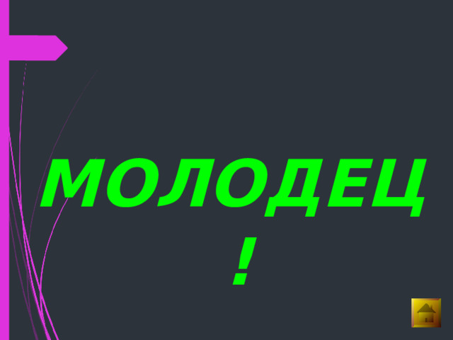  МОЛОДЕЦ!  