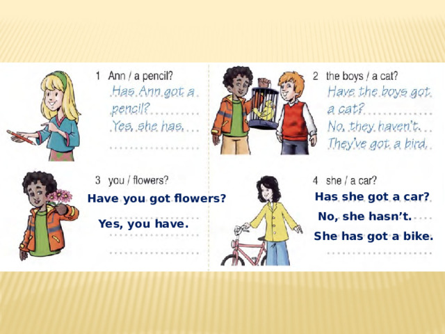 Has she got a car? Have you got flowers? No, she hasn’t. Yes, you have. She has got a bike. 