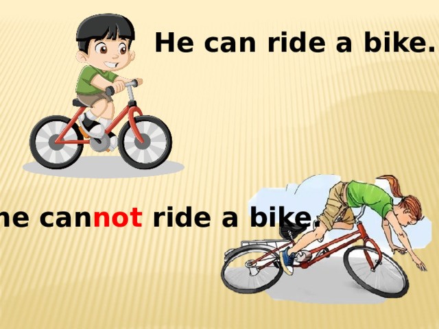 He can ride a bike. She can not ride a bike. 