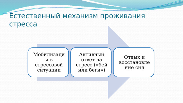 Естественный механизм проживания стресса Мобилизация в стрессовой ситуации Активный ответ на стресс («бей или беги») Отдых и восстановление сил 