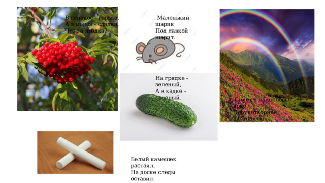 В сенокос - горька,   Маленький шарик А в мороз - сладка. Под лавкой шарит. Что за ягодка? На грядке - зеленый, А в кадке - соленый.   Сияет в поднебесье ярко Нерукотворная цветная арка Белый камешек растаял, На доске следы оставил. 