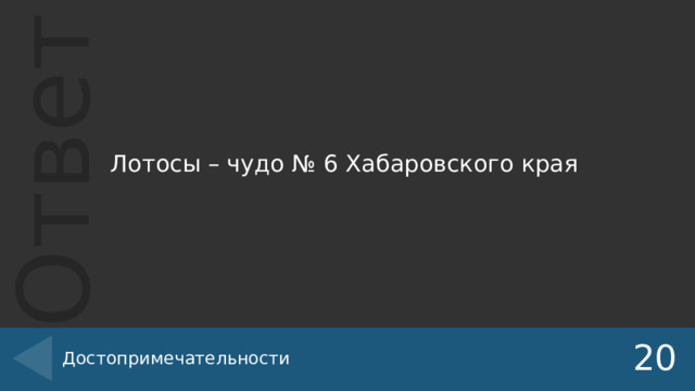 Лотосы – чудо № 6 Хабаровского края Достопримечательности 20 