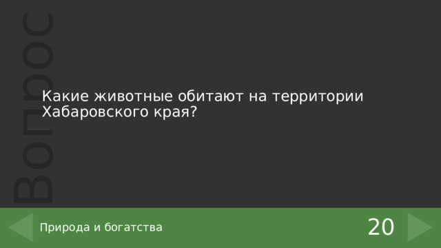 Какие животные обитают на территории Хабаровского края? 20 Природа и богатства 