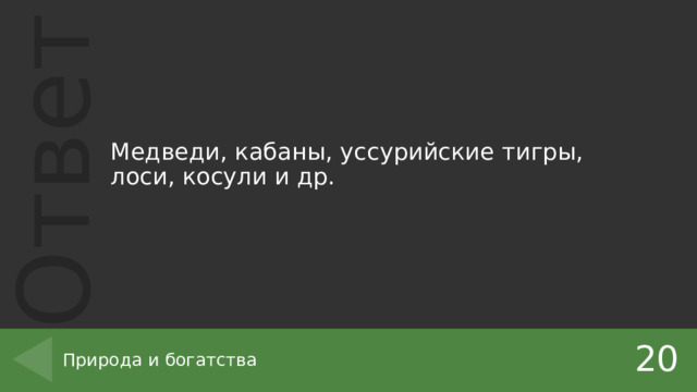 Медведи, кабаны, уссурийские тигры, лоси, косули и др. 20 Природа и богатства 