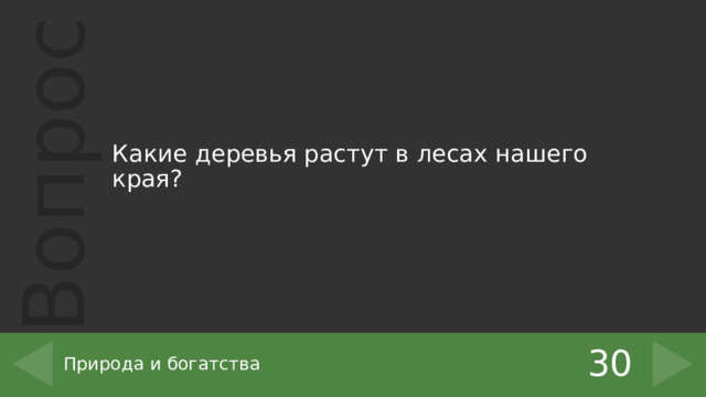 Какие деревья растут в лесах нашего края?   30 Природа и богатства 