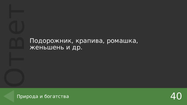 Подорожник, крапива, ромашка, женьшень и др. 40 Природа и богатства 