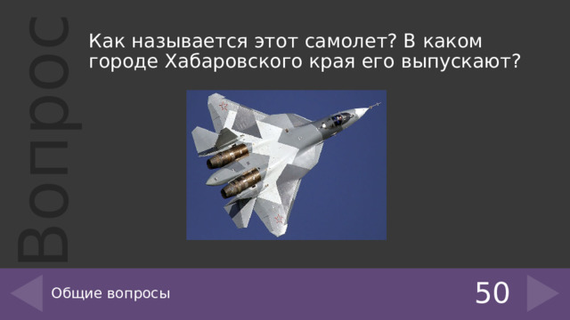 Как называется этот самолет? В каком городе Хабаровского края его выпускают? Общие вопросы 50 
