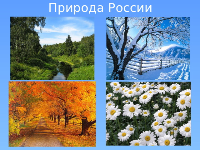 Природа России 