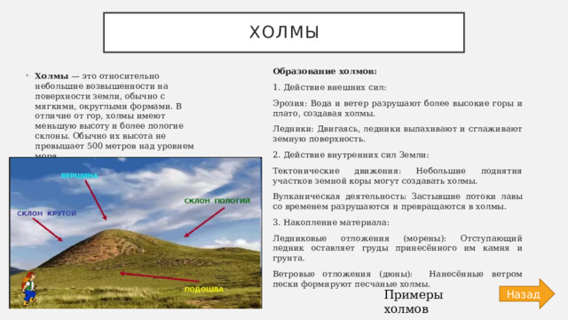 Холмы Образование холмов: 1. Действие внешних сил: Эрозия: Вода и ветер разрушают более высокие горы и плато, создавая холмы. Ледники: Двигаясь, ледники выпахивают и сглаживают земную поверхность. 2. Действие внутренних сил Земли: Тектонические движения: Небольшие поднятия участков земной коры могут создавать холмы. Вулканическая деятельность: Застывшие потоки лавы со временем разрушаются и превращаются в холмы. 3. Накопление материала: Ледниковые отложения (морены): Отступающий ледник оставляет груды принесённого им камня и грунта. Ветровые отложения (дюны): Нанесённые ветром пески формируют песчаные холмы. Холмы — это относительно небольшие возвышенности на поверхности земли, обычно с мягкими, округлыми формами. В отличие от гор, холмы имеют меньшую высоту и более пологие склоны. Обычно их высота не превышает 500 метров над уровнем моря. Назад Примеры холмов 