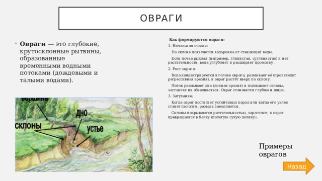 Овраги  Как формируются овраги: 1. Начальная стадия:  На склоне появляется водороина от стекающей воды.  Если почва рыхлая (например, глинистая, суглинистая) и нет растительности, вода углубляет и расширяет промоину. 2. Рост оврага:  Вода концентрируется в голове оврага, размывает её (происходит регрессивная эрозия), и овраг растёт вверх по склону.  Поток размывает дно (донная эрозия) и подмывает склоны, заставляя их обваливаться. Овраг становится глубже и шире. 3. Затухание:  Когда овраг достигнет устойчивых пород или когда его уклон станет пологим, размыв замедляется.  Склоны покрываются растительностью, зарастают, и овраг превращается в балку (пологую сухую долину). Овраги — это глубокие, крутосклонные рытвины, образованные временными водными потоками (дождевыми и талыми водами). Примеры оврагов Назад 
