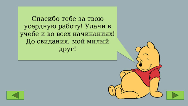 Спасибо тебе за твою усердную работу! Удачи в учебе и во всех начинаниях! До свидания, мой милый друг! 