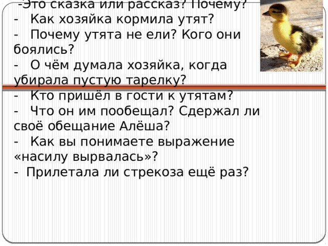  -Это сказка или рассказ? Почему?  - Как хозяйка кормила утят?  - Почему утята не ели? Кого они боялись?  - О чём думала хозяйка, когда убирала пустую тарелку?  - Кто пришёл в гости к утятам?  - Что он им пообещал? Сдержал ли своё обещание Алёша?  - Как вы понимаете выражение «насилу вырвалась»?  - Прилетала ли стрекоза ещё раз?    