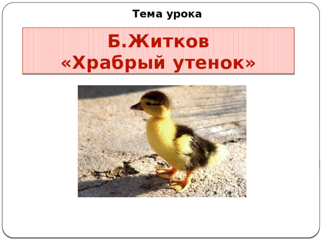 Тема урока Б.Житков  «Храбрый утенок» 