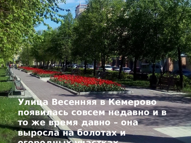 Улица Весенняя в Кемерово появилась совсем недавно и в то же время давно – она выросла на болотах и огородных участках . 