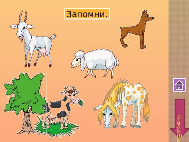 Запомни. 