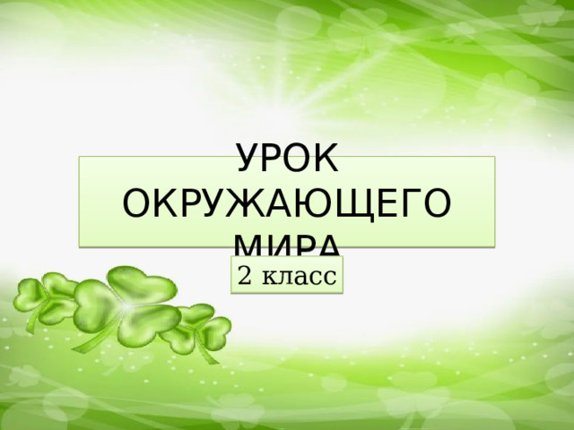 УРОК ОКРУЖАЮЩЕГО МИРА 2 класс 