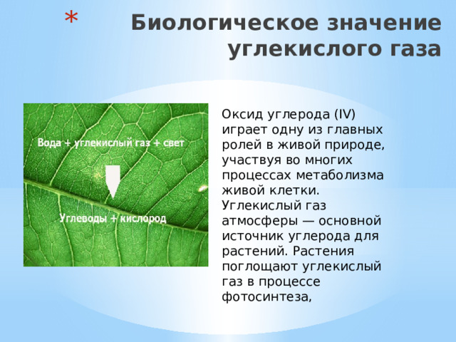 Биологическое значение  углекислого газа Оксид углерода (IV) играет одну из главных ролей в живой природе, участвуя во многих процессах метаболизма живой клетки. Углекислый газ атмосферы — основной источник углерода для растений. Растения поглощают углекислый газ в процессе фотосинтеза, 