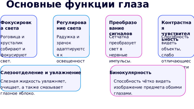 Основные функции глаза Фокусировка света Регулирование света Контрастная чувствительность Преобразование сигналов Способность видеть объекты, слабо отличающиеся по яркости от фона. Сетчатка преобразует свет в нервные импульсы. Радужка и зрачок адаптируются к освещенности. Роговица и хрусталик собирают и фокусируют свет. Слезоотделение и увлажнение Бинокулярность Слезная жидкость увлажняет, очищает, а также смазывает глазное яблоко. Способность чётко видеть изображение предмета обоими глазами. 