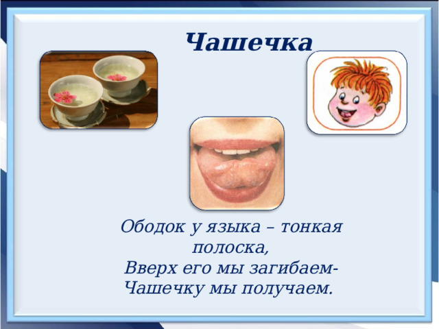 Чашечка  Ободок у языка – тонкая полоска, Вверх его мы загибаем- Чашечку мы получаем. 