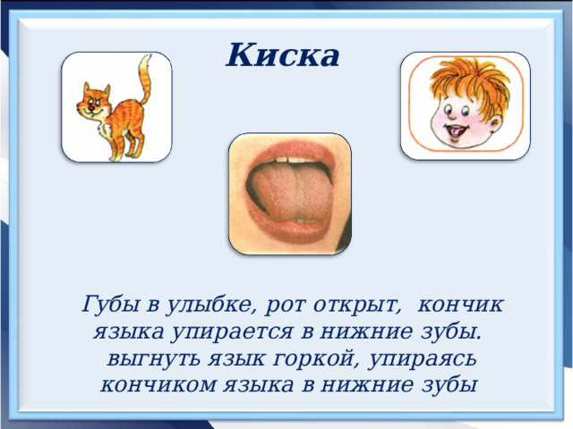 Киска  Губы в улыбке, рот открыт, кончик языка упирается в нижние зубы. выгнуть язык горкой, упираясь кончиком языка в нижние зубы 