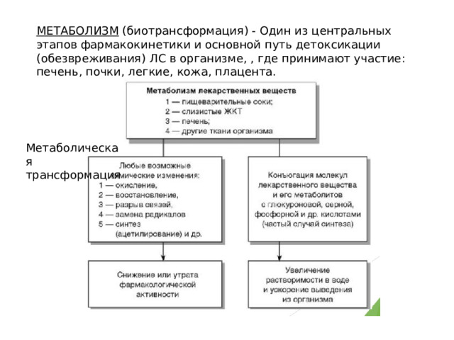 МЕТАБОЛИЗМ (биотрансформация) - Один из центральных этапов фармакокинетики и основной путь детоксикации (обезвреживания) ЛС в организме, , где принимают участие: печень, почки, легкие, кожа, плацента. Метаболическая трансформация 